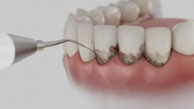 Reliable Dental contractor in Colonial Beach, VA by Dentist Open Now